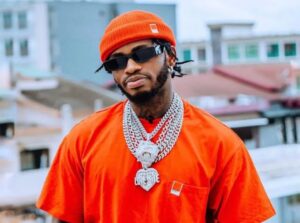 Read more about the article Nigerians drag Diamond Platnumz For ‘Stealing’ Spyro’s  ‘Who Is Your Guy?’ [Video]