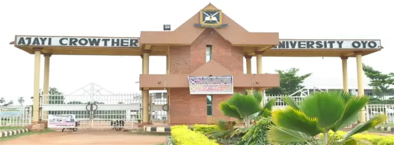 University student beaten to death by colleagues over alleged phone theft